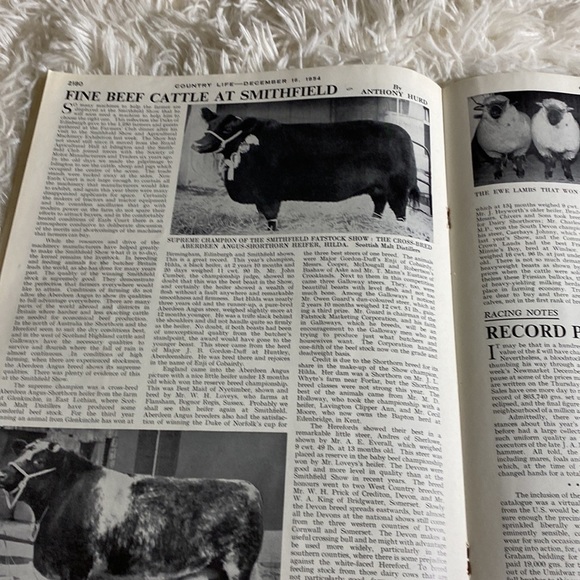COUNTRY LIFE MAGAZINE Fine Cattle At The Smithfield Show December 16, 19… - Picture 10 of 15